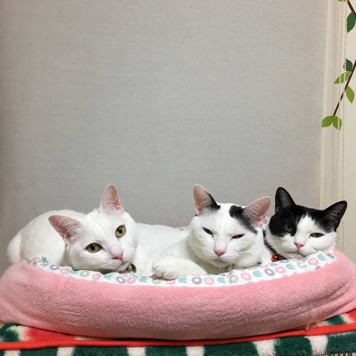 23530ab3 c44e 4e33 9e60 de289d8255fa 1521634862007