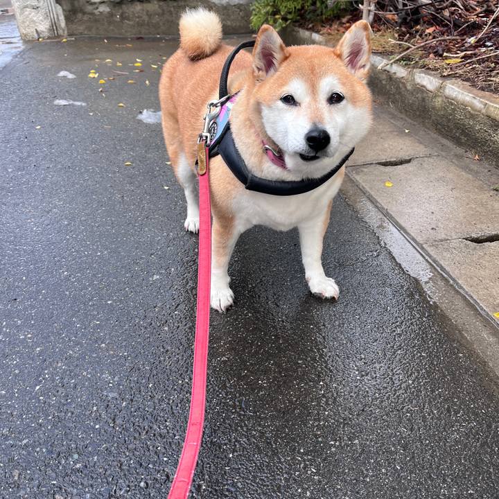 2353189f 5c9f 43f9 8533 747c8fb700cc 1707202419529