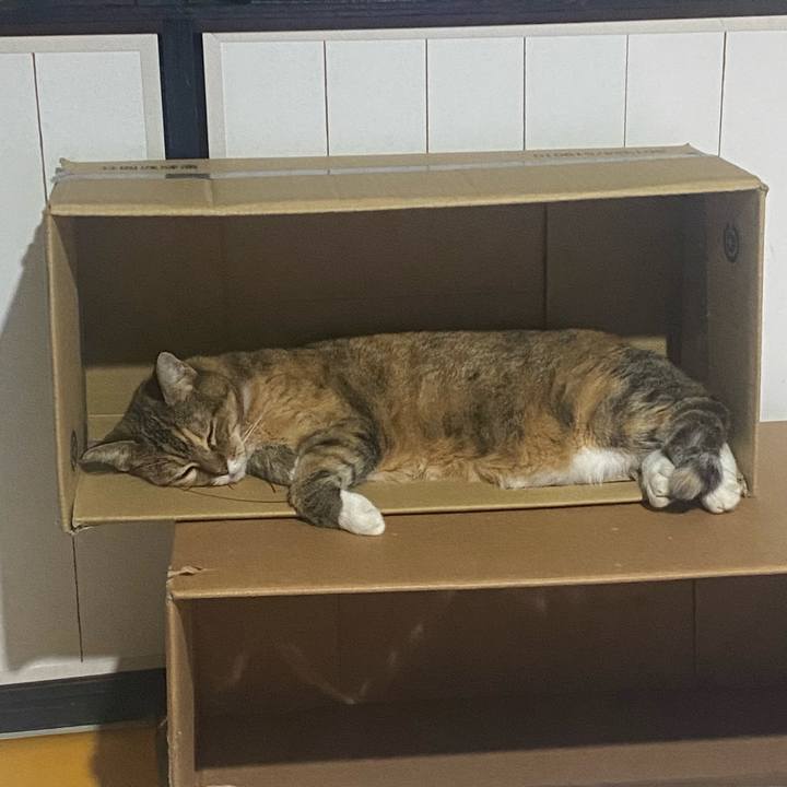 235325e1 695c 49b0 9b69 12f4074dad77 1725378000561