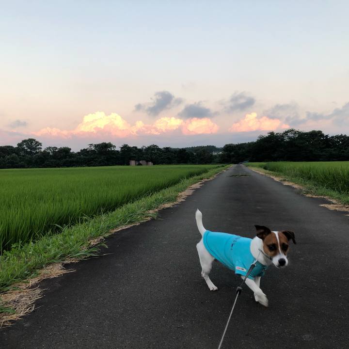 235337a5 b325 415d 96fb 09bdcc3b9a8a 1565434044917