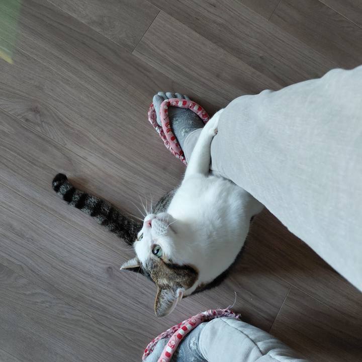 23533bbd fb5a 4d6d b457 4e1ecf2e7a61 1773445915624