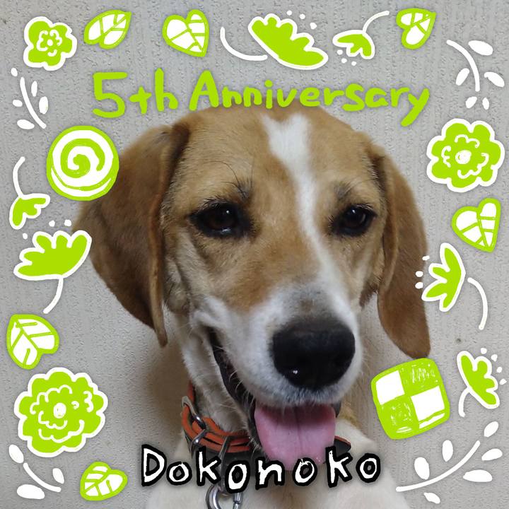 23534cd2 0a9e 4eb4 9f85 522a1944103c 1623147024669