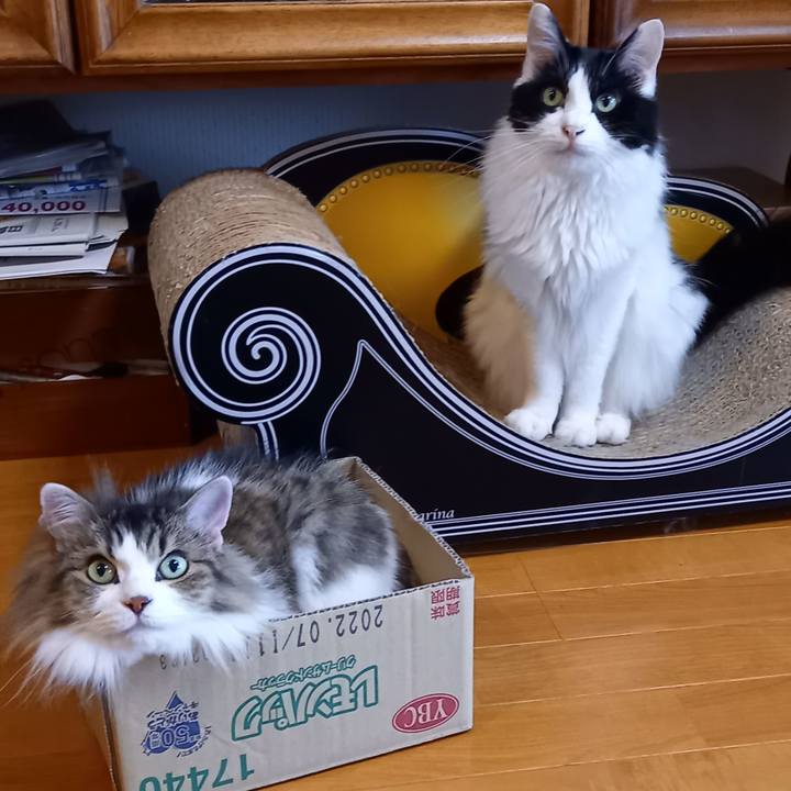 23535ba9 4541 4bd8 8e04 a003122eea4a 1655938447344