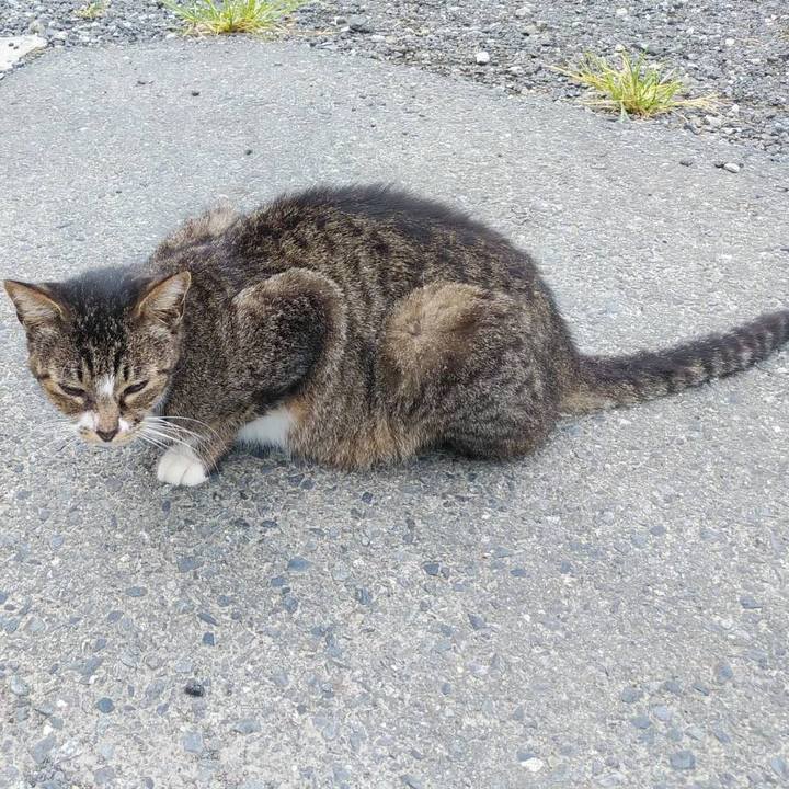 23537a03 9fe6 4111 9e0a dcae26387209 1598919520767