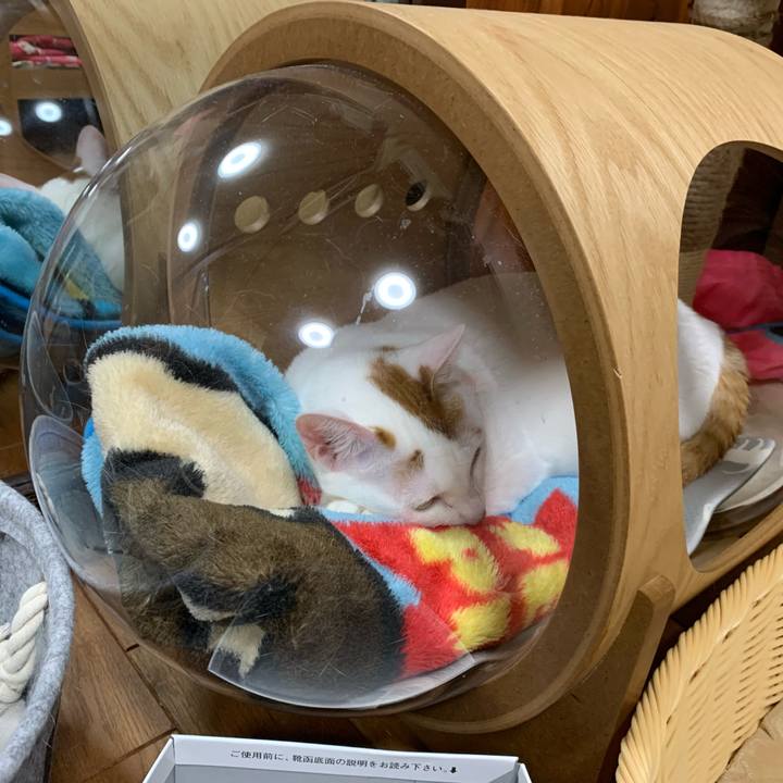 235385f7 2389 4484 9156 5358367ba9d5 1584705792897