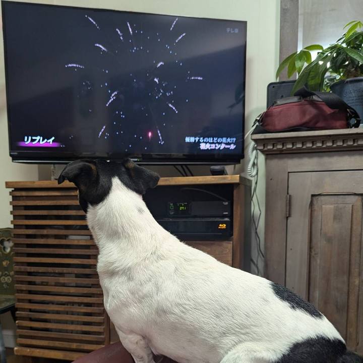 23540e50 2fee 4465 89d2 cd76a389d997 1722086621470