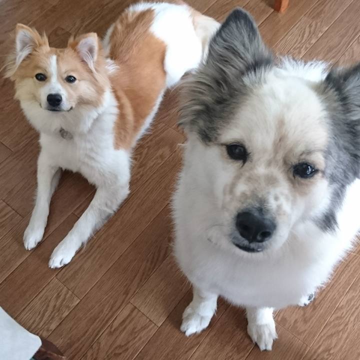 2354265c 9c66 4f55 b217 b979f176f83d 1578660348802