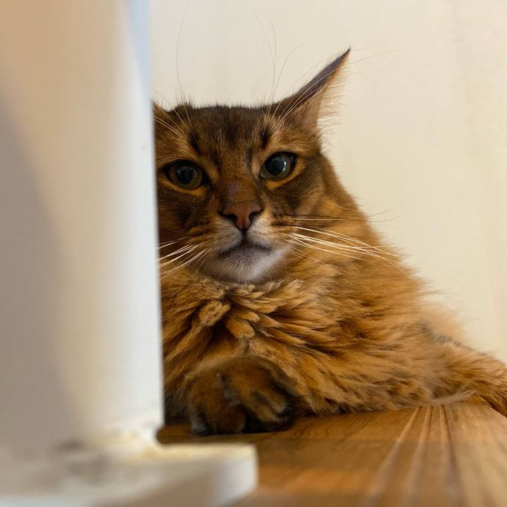 23543a79 3507 4abc 9c82 292491e6762e 1657268298083