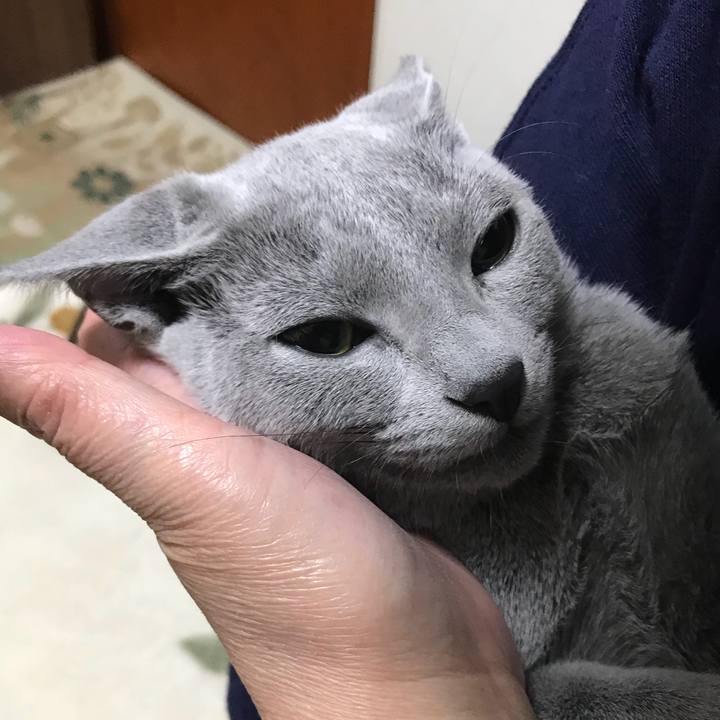 235445ec fec2 48d4 ab9a dc2ef0e3206d 1510580404563