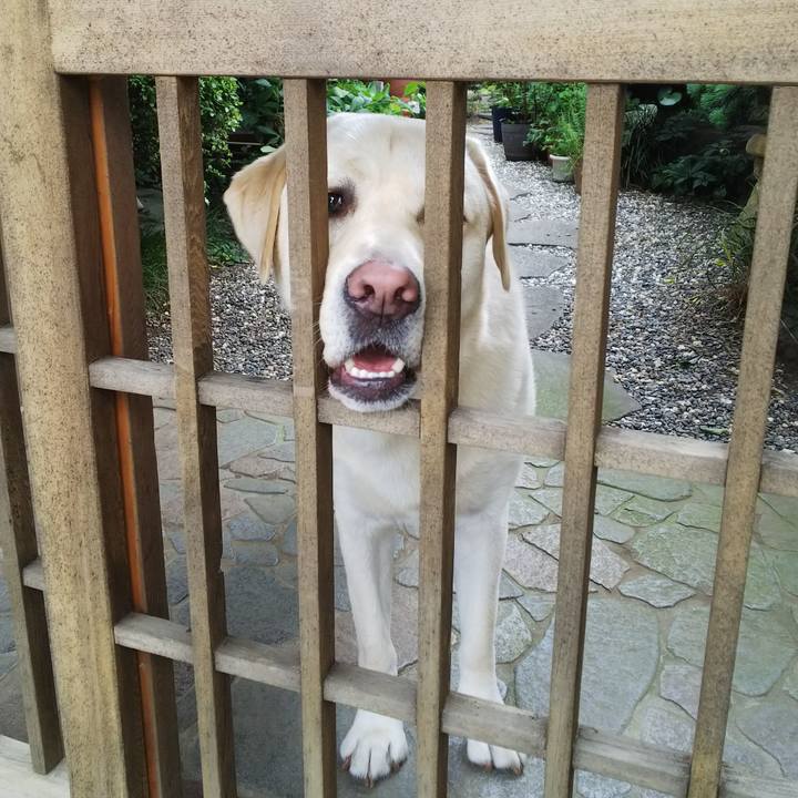 2354625c d999 48d6 bf01 887996bbacc5 1530153161222