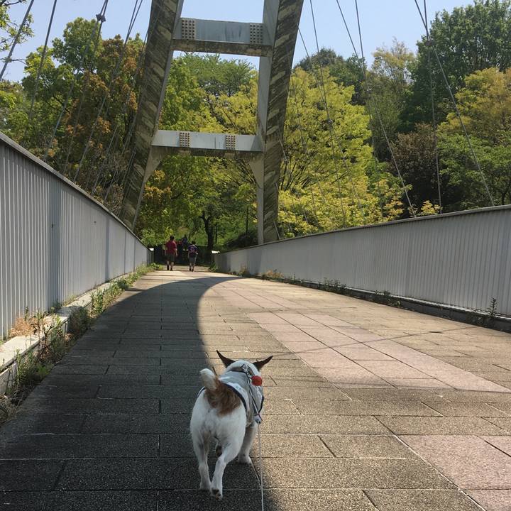 235464e3 d158 474a 84c4 98f0d064fc94 1588203070639