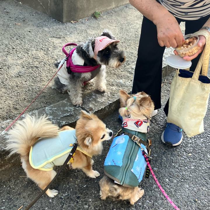 23546afa 2aa4 4515 b75d 4c71ca67bbac 1753842227872