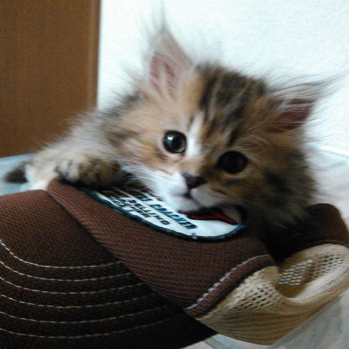 23547e25 c317 4584 ba4c 4392ef898f85 1607661080348