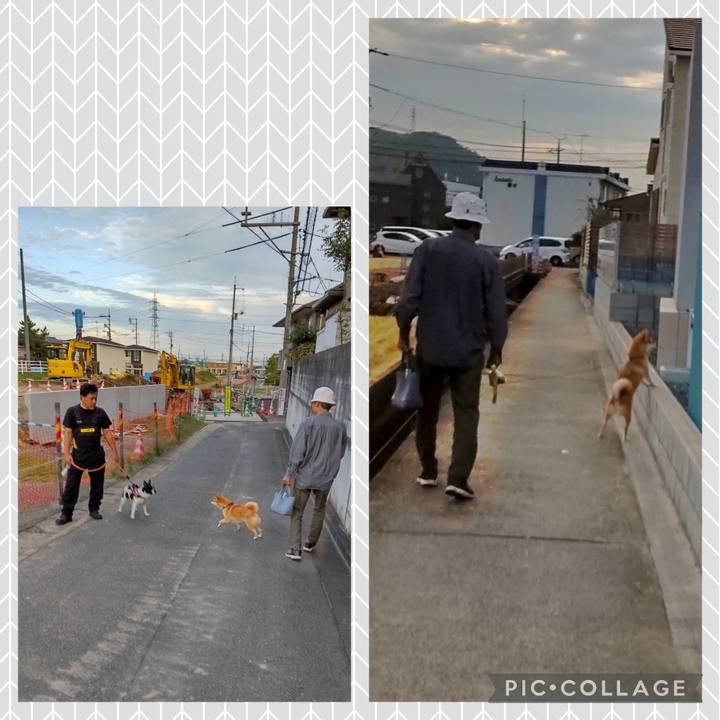 23548945 ccd5 420c b8d9 b962121d7752 1729932032524