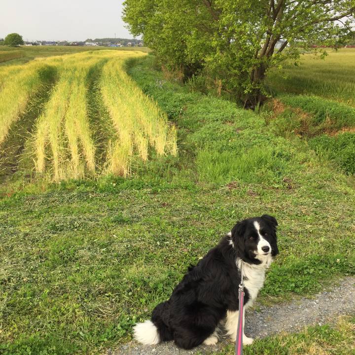 23548a2a 0348 4bc6 91fb 24962779197f 1587856401535