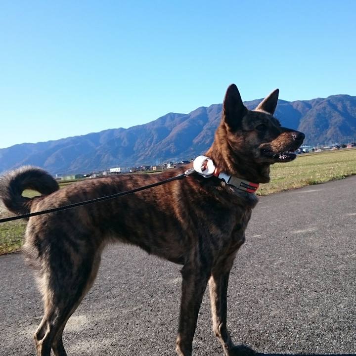 2354a2da 7260 4290 9d1b f47b9ec02f96 1512177647225