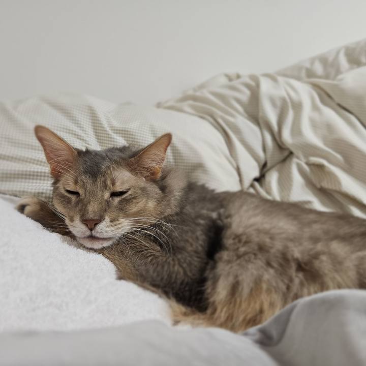 2354a8bd 67f6 48ad b84c 784aa3de998f 1768035157245