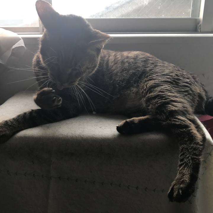 2354d3c1 fca7 4596 b8c9 0b8a3e7df568 1507997695097