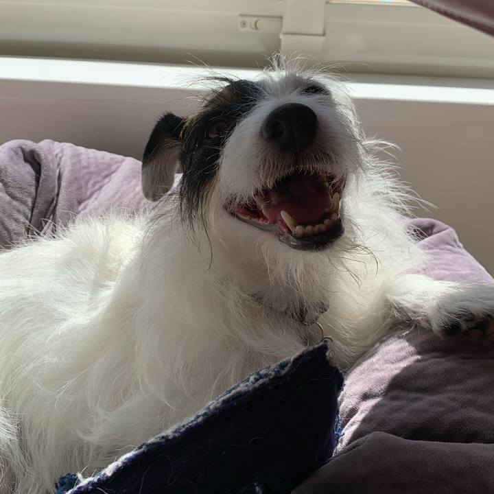 2354d40c b2ab 420c 946c 3e126050d144 1631677861334