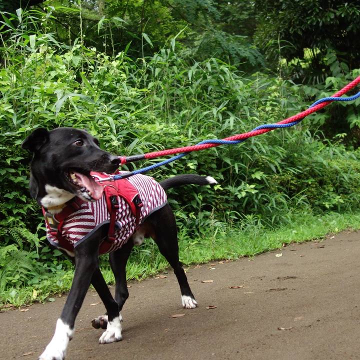 2354f8ff 7001 4dd0 896d c991ddfab1f7 1594424604716