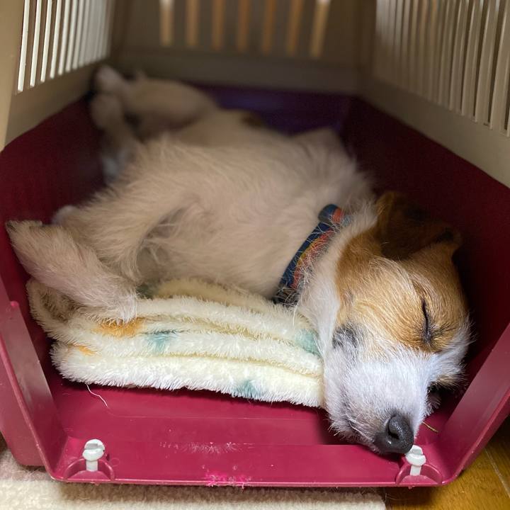 2355211e b54c 440c 91c3 bbef1405a9ee 1743342007242