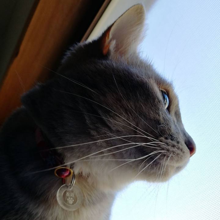 23554300 d7da 4ece ab11 bb9bcf990605 1531521850937