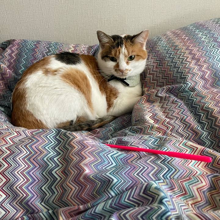 235552ff 5652 43a6 aaa9 5d3db53b67a6 1666741163869