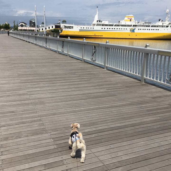 2355555b 0ce7 494c 8cb8 0b4ebfe54f17 1530401885095