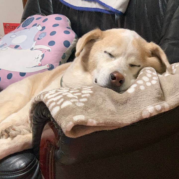 23555ad5 b5bc 40b5 99ee 2ead2ec28712 1672328932095