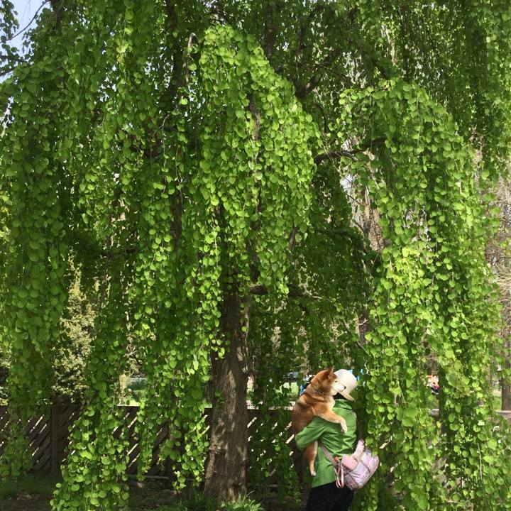 23557517 24d2 4d17 a1c1 22fb9aa1aaa7 1617273809549