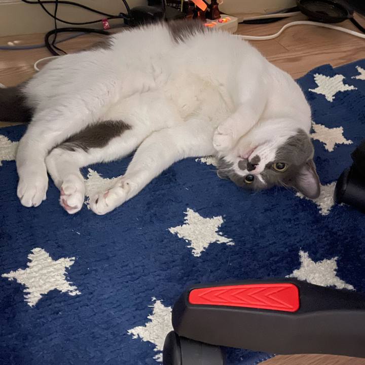 23559f07 a4e3 41a5 bf3a 2a2f9b554dc3 1658840029604