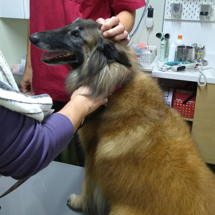 2355b638 aa8a 4860 bf8b 593dbfa699b7 1570448458467