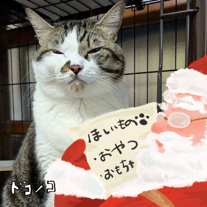 2355fef8 47b8 4a47 a93d def178bc25cf 1730290921337