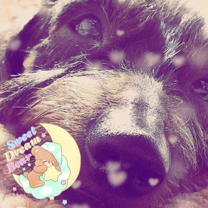 235607e4 92b7 41aa bdb3 a875f1d78d86 1511014892482