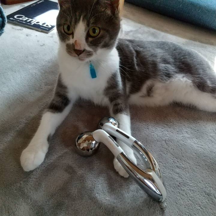 23561520 7ad6 440b 98b0 12bba238130b 1598397865903