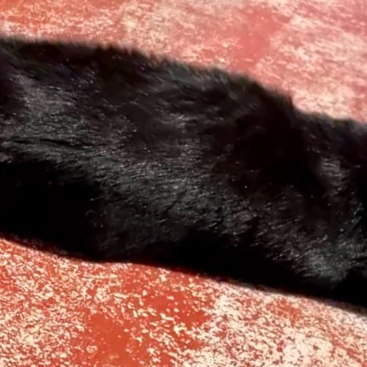 23561f9f 60ac 43ba ae3e 46de78395cdd 1743735644782