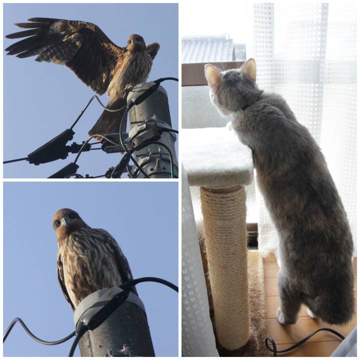 2356789e bd2a 4de2 aa35 718e132d43a9 1577952315378