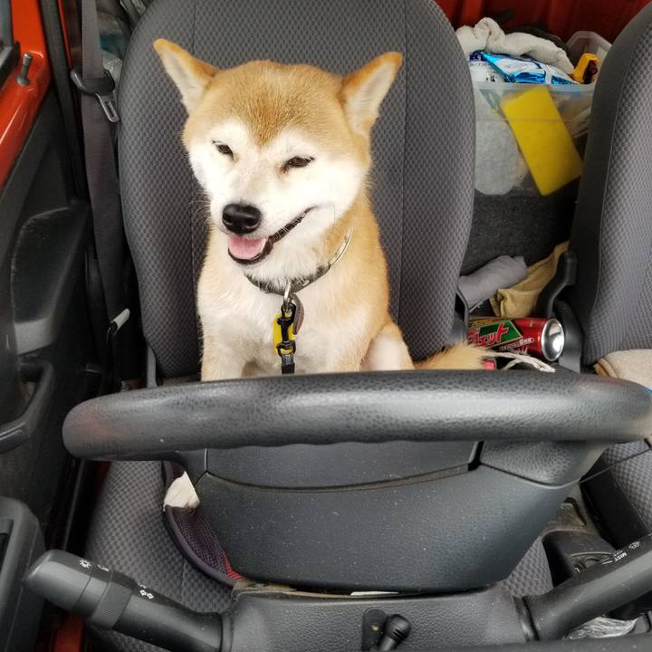 2356eb00 6877 45ba b750 82ae0cd78946 1597374747587