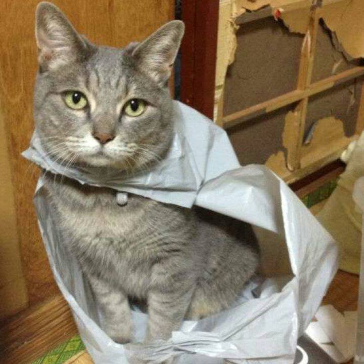 2356fdbf 3ba8 4339 8586 d686e26c4ecc 1749460477176