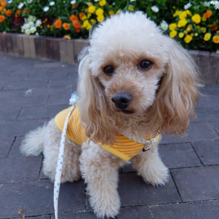 23575ad2 2212 49e4 a2ac 08ae016ca3d5 1554028894869