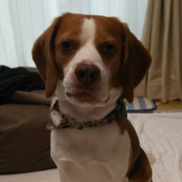 23579103 c606 4444 ae02 9b72f8c39b5f 1592131919967