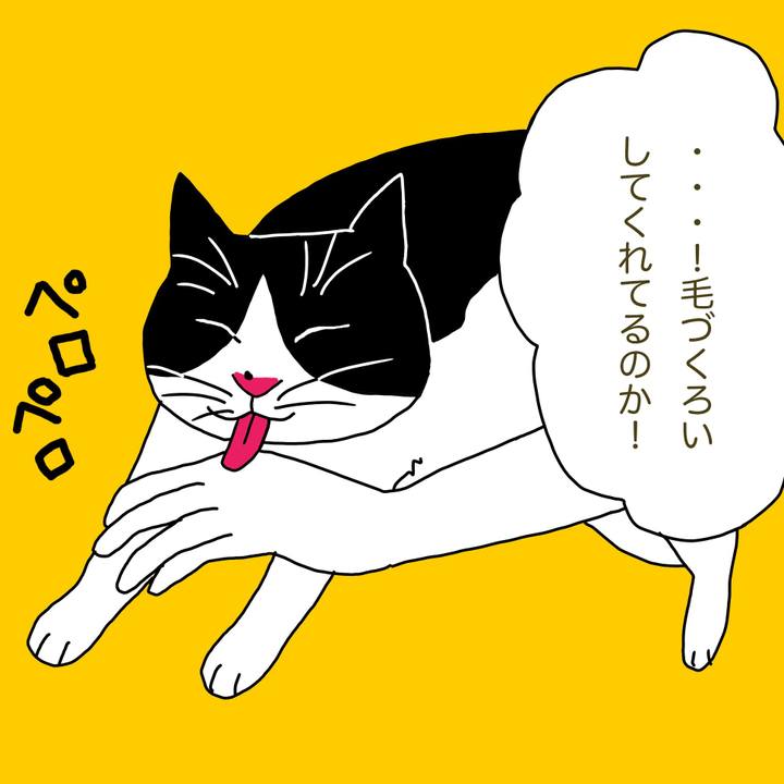 23579f20 a1a4 4122 bfda 14578c8b4733 1643424831932