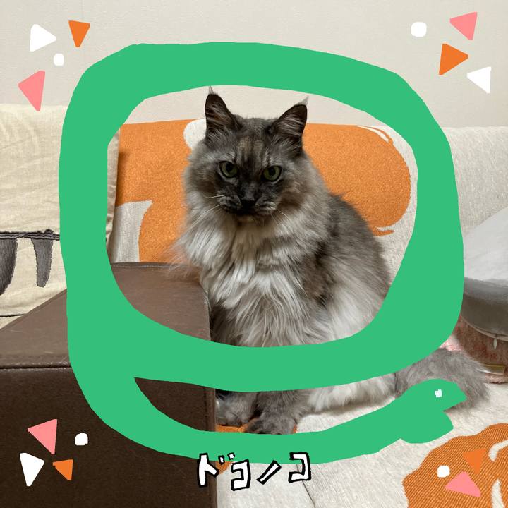 2357cfbf 8aae 4975 8dab 516752256f02 1741071222906