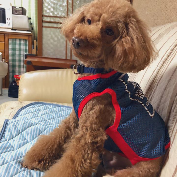 2357e7fd bdb1 4d6b afcc c93c2f5e340d 1566111441592