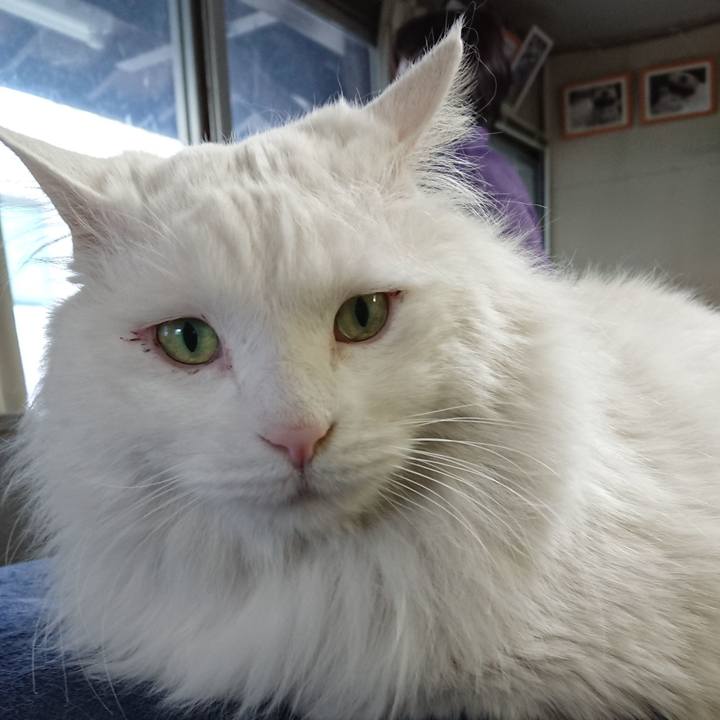 2357e8f2 05af 41ab 9868 03290b71e8a4 1523312739218