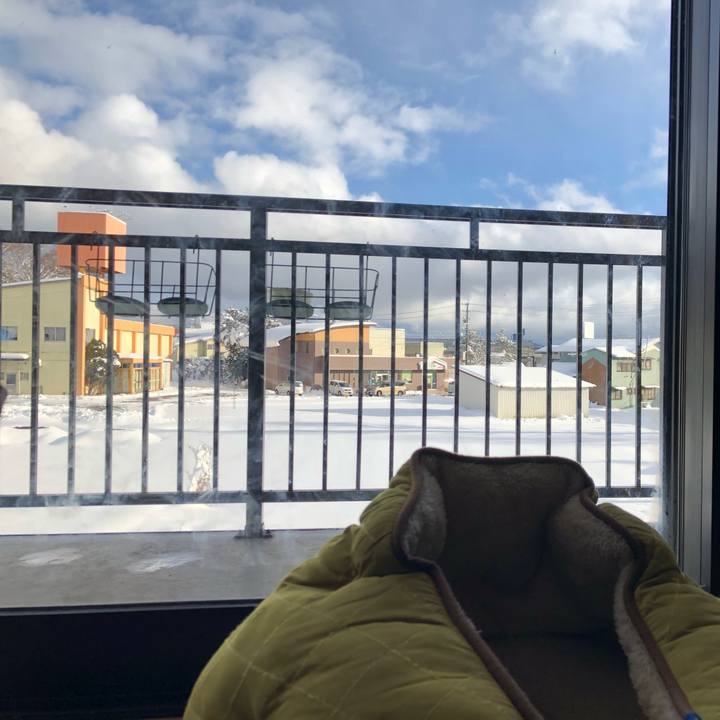 2357f2b4 79c5 47fb a2e8 eb4cb97c5b46 1544853257270