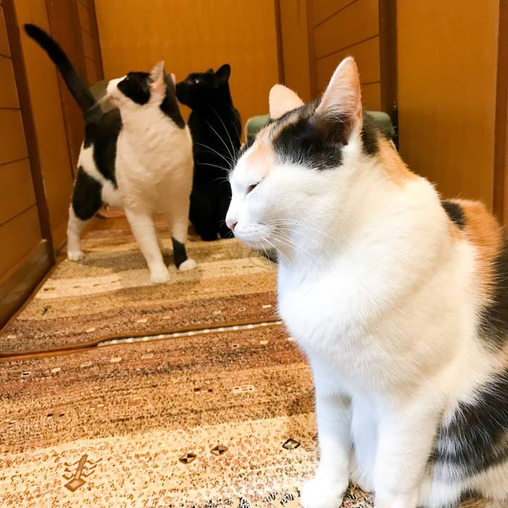 23583630 9ae8 44a5 8312 961749894a79 1512348020875