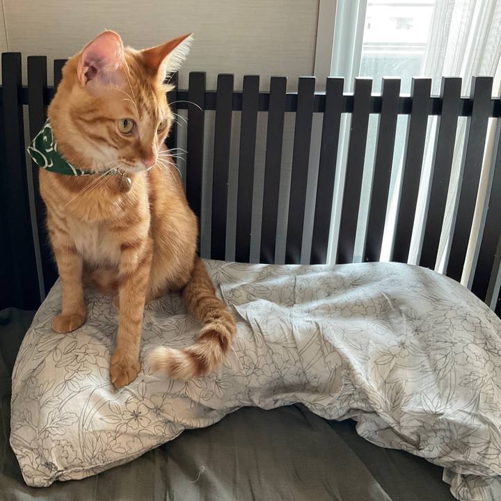 23583763 7d1a 41af a16a c0aca5a1ab9d 1628796850222