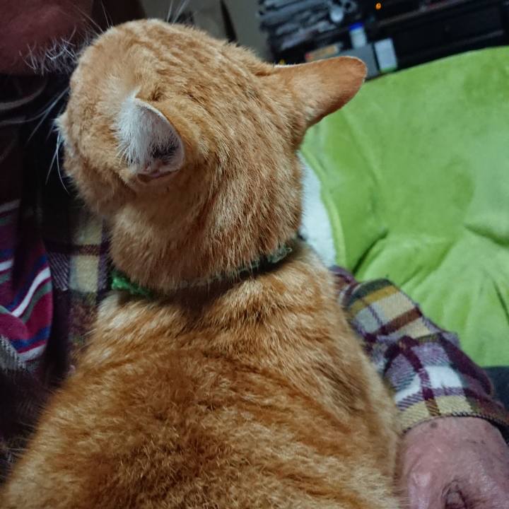 235849c7 93b6 447f b398 a7415a7623f3 1586552341309