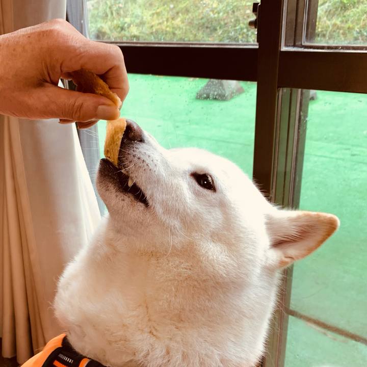 23585ff7 c954 440f b863 fe0d7342fe07 1635916705920